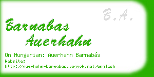 barnabas auerhahn business card